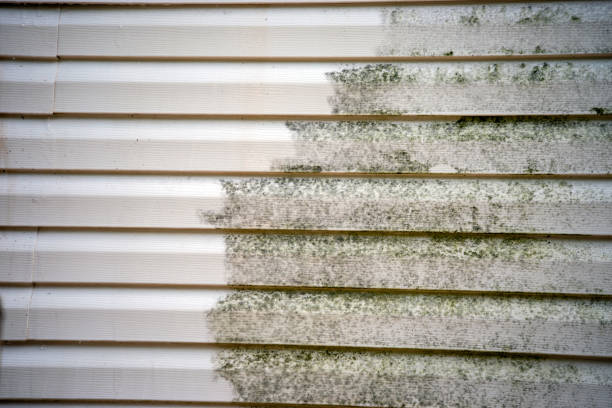 How To Choose The Right Materials for Your Siding Installation in 'Lenexa, KS